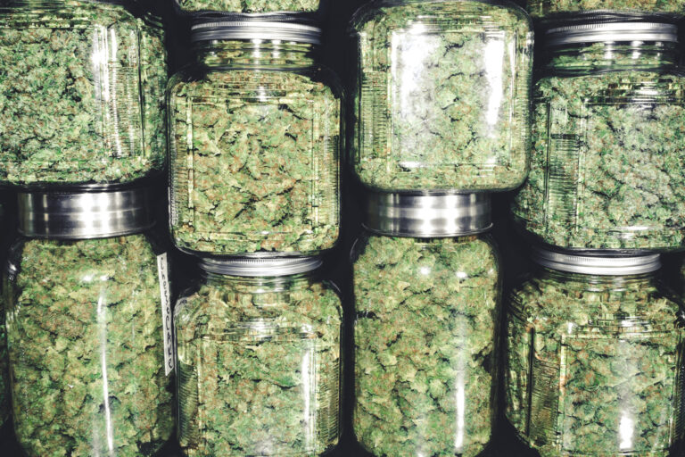 3 Types of Cannabis Storage for Businesses