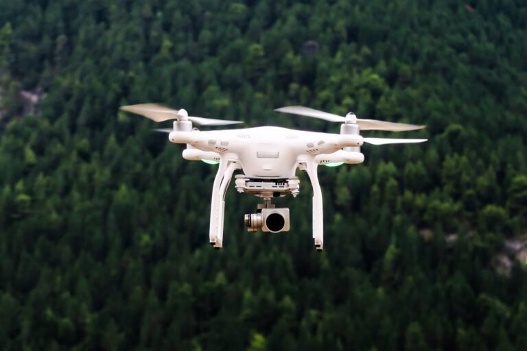 What You Need to Know About Professional Drone Services