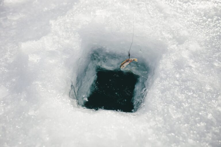 Top 5 Outdoor Activities During Winter