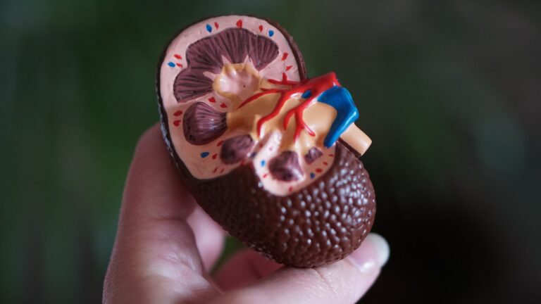 The Top 5 Causes of Kidney Failure