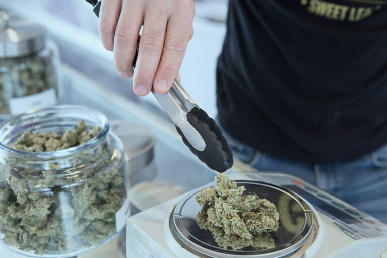 How to Choose a Cannabis Dispensary: Everything You Need to Know