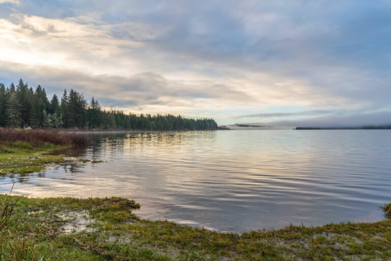 5 Benefits of Lake Aeration You Need to Know