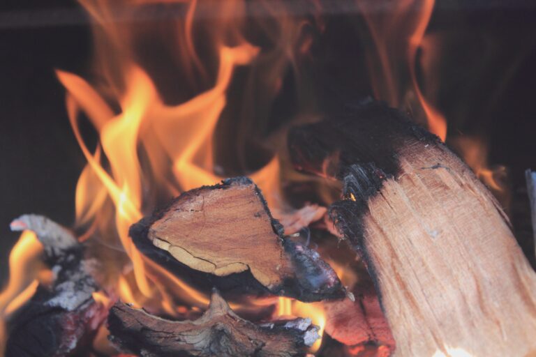 Choosing the Right Firewood: How to Find Logs That Are Both Eco-Friendly and Efficient