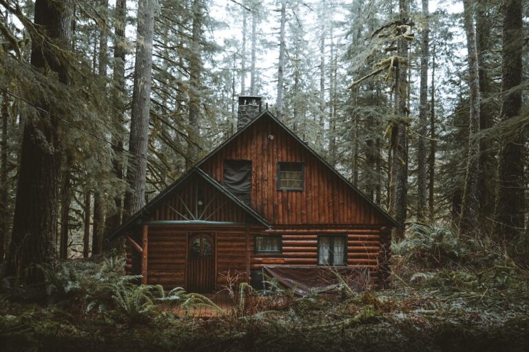 Ways to Prepare Your Log Home for Winter